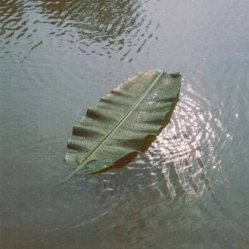 Homage: JOANNA MACY on the World as Lover and Self /371