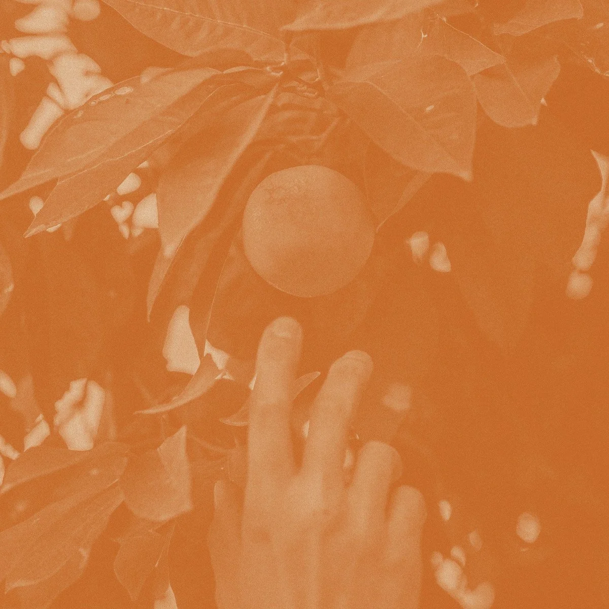 Fat of The Land, Aperitivo S1:1