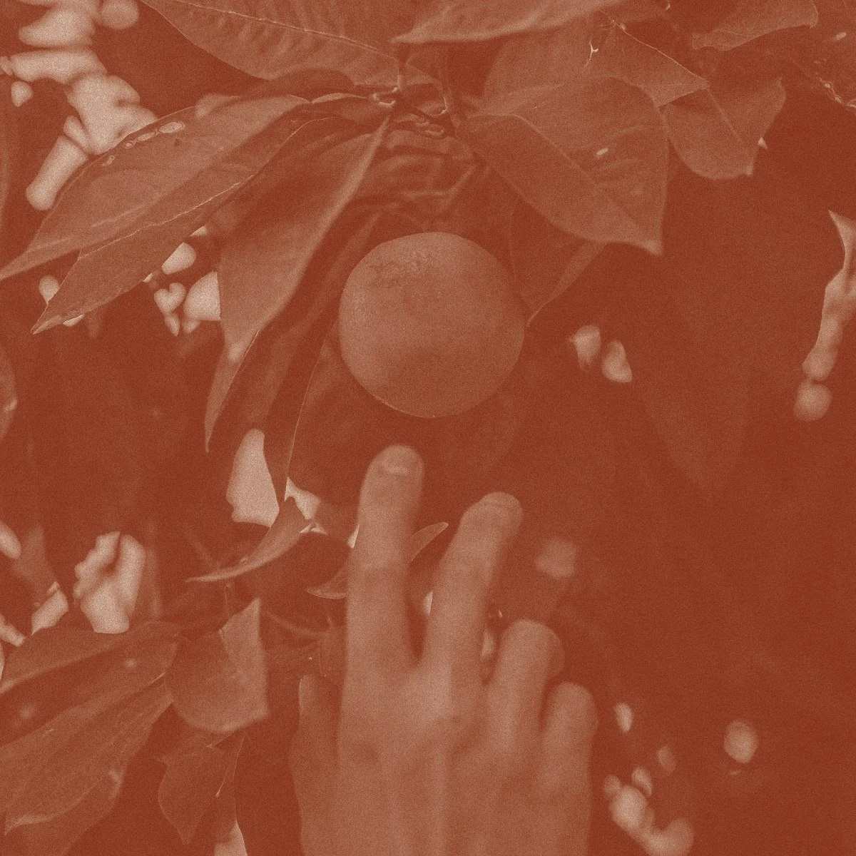 Fat of The Land, Primi S1:2