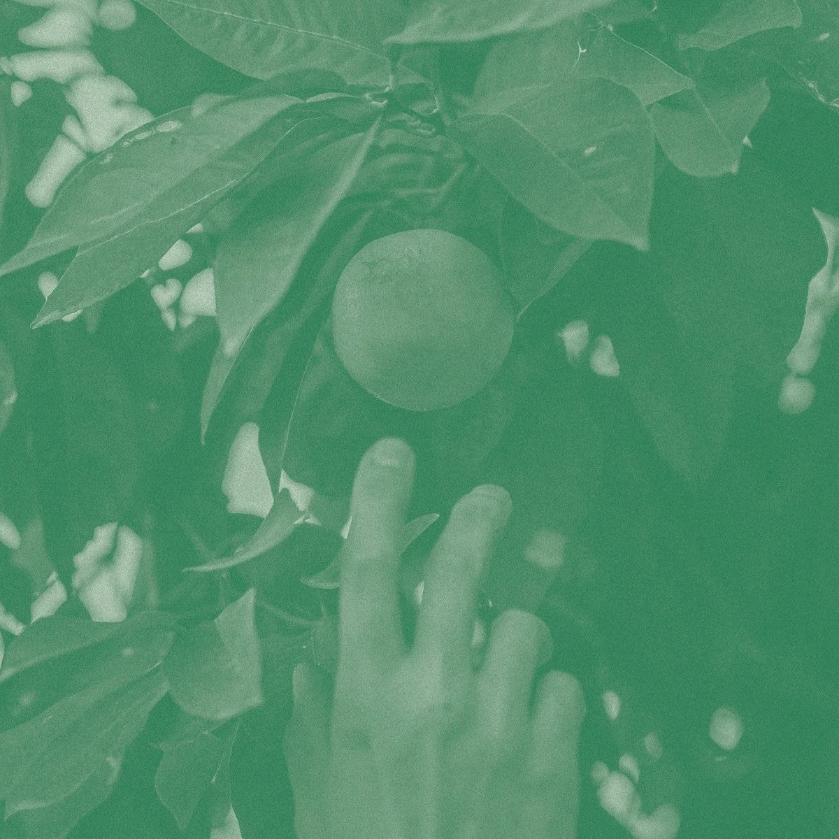 Fat of The Land, Secondi S1:3