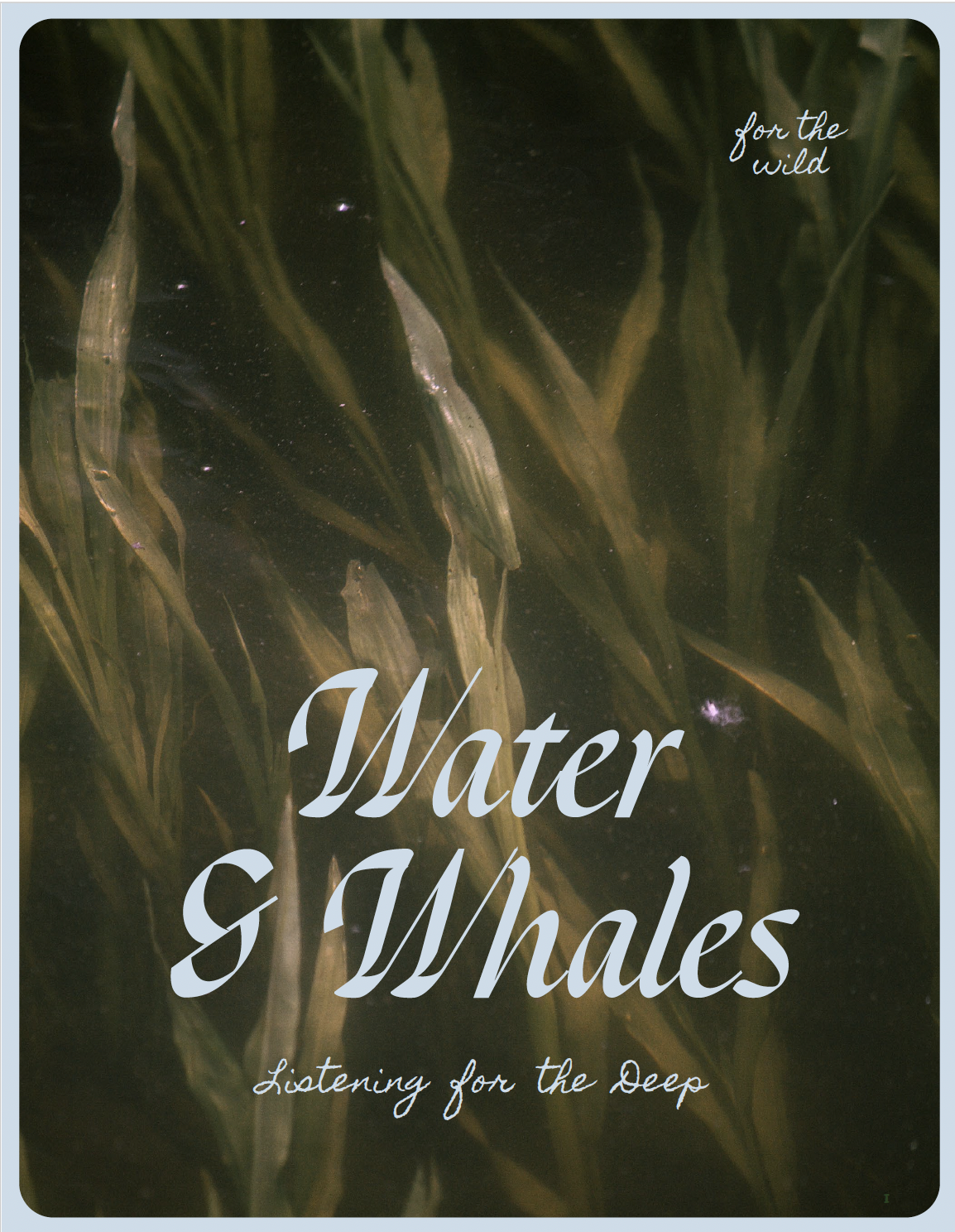 Screen Shot 2026-04-24 at 12.58.32 PM.png