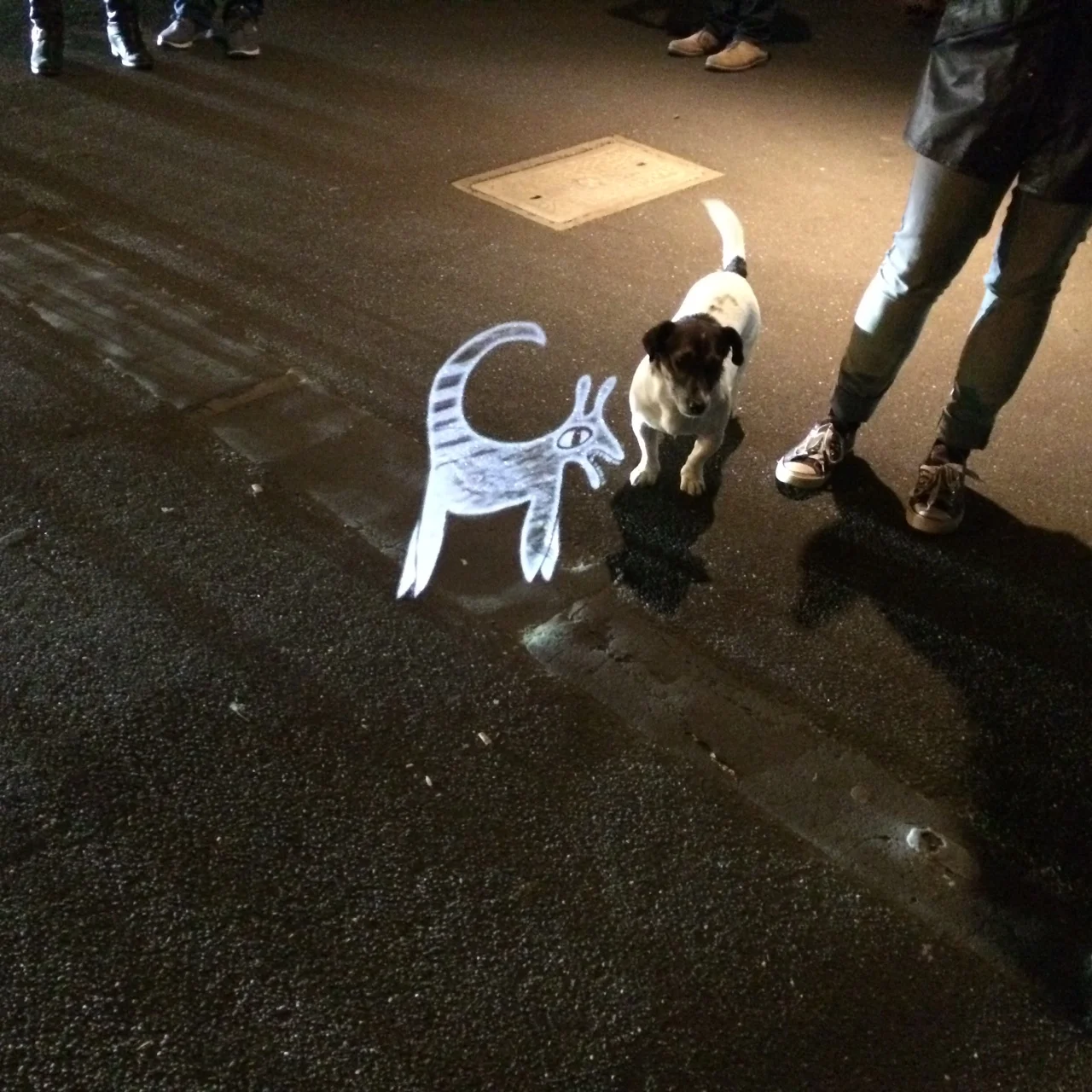 C Packham GSPF15_3.JPG