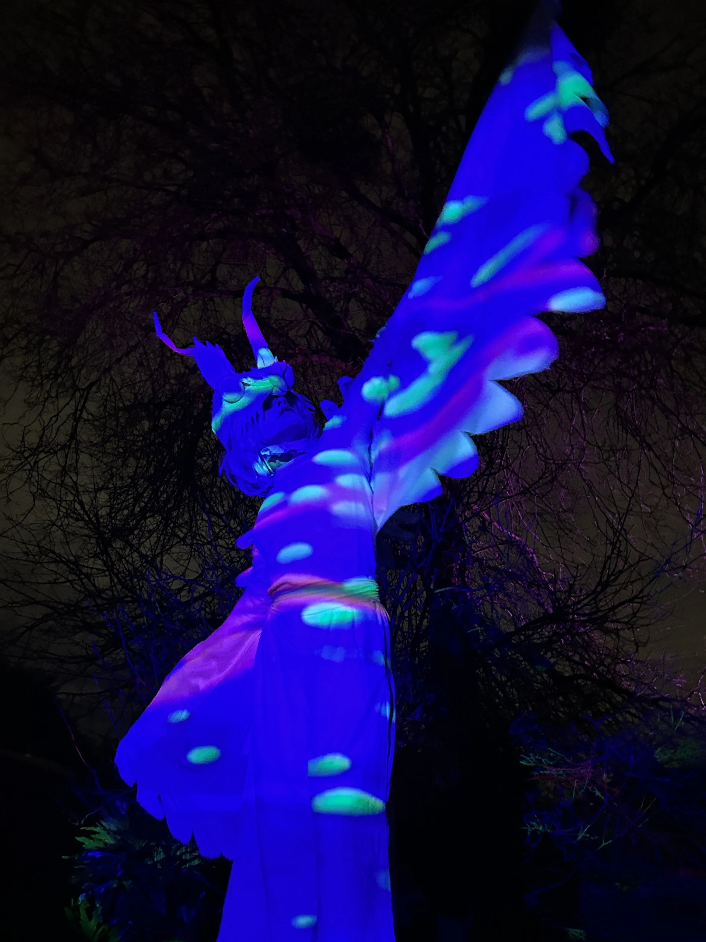 1_Main Image Program LEFT IMG_9111_cropped 300dpi.jpg