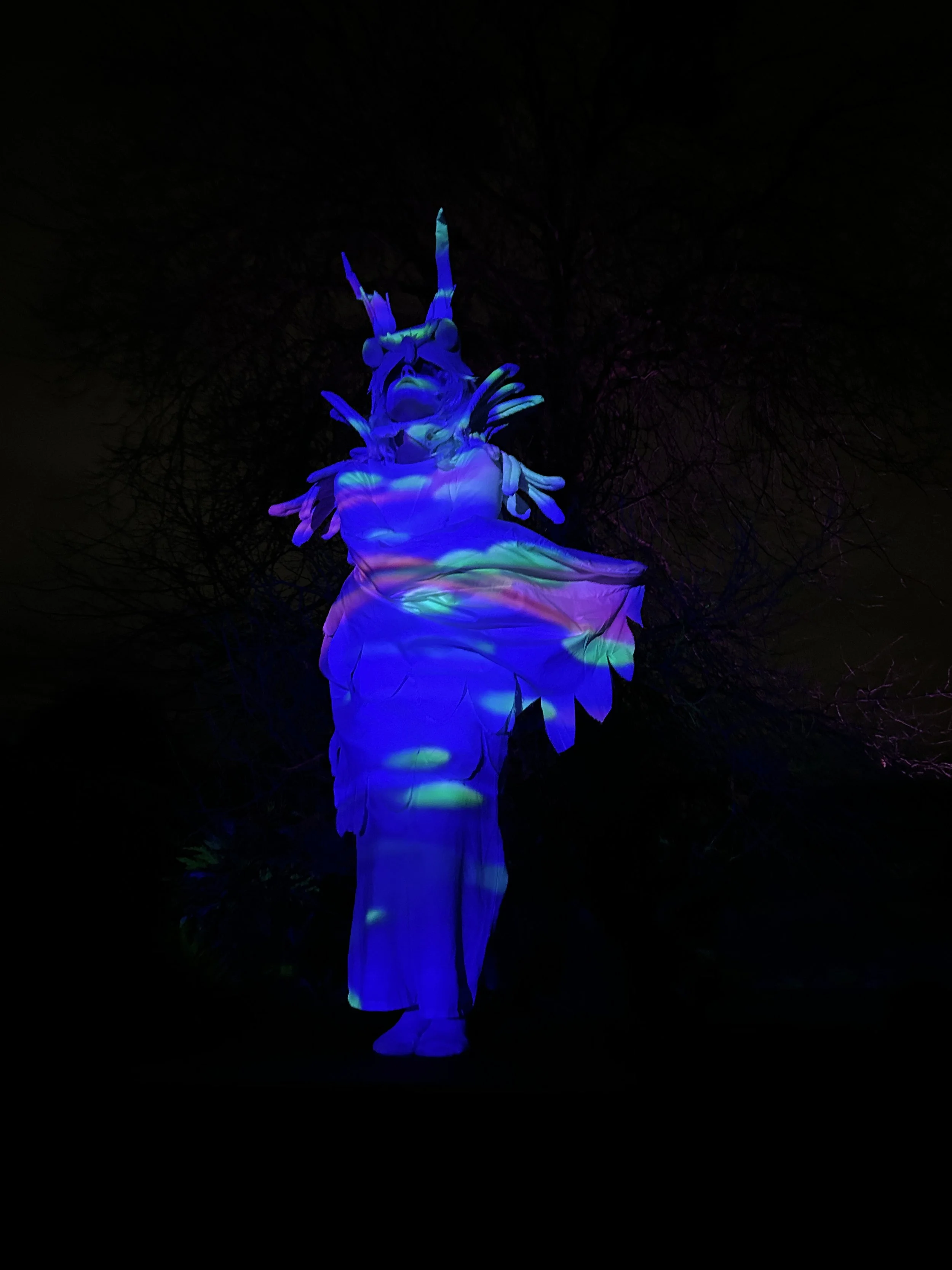 2_Program MIDDLE IMG_9104_300dpi.jpg