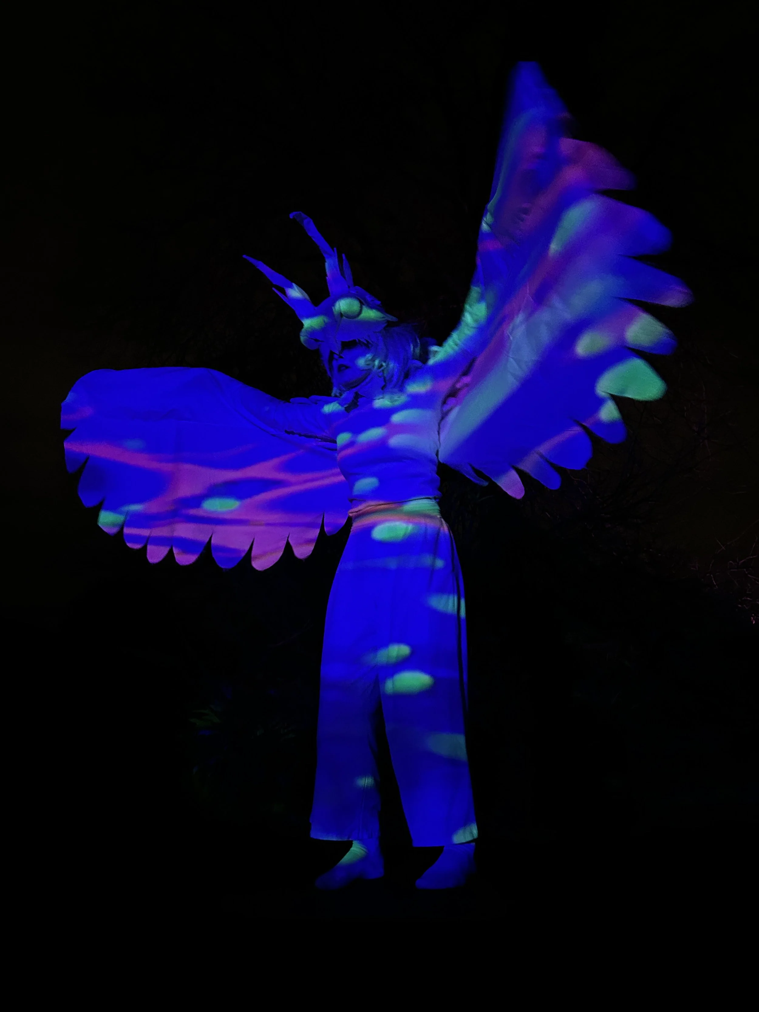 3_Program RIGHT IMG_9118_300dpi.jpg