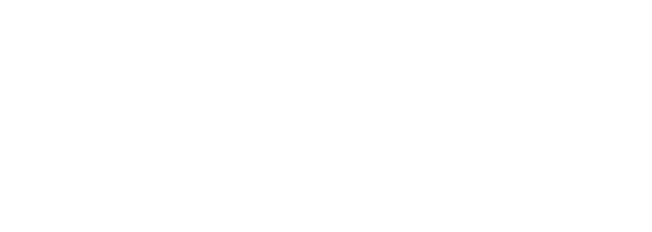 MelbFringeFestival-LOGO-White (1).png
