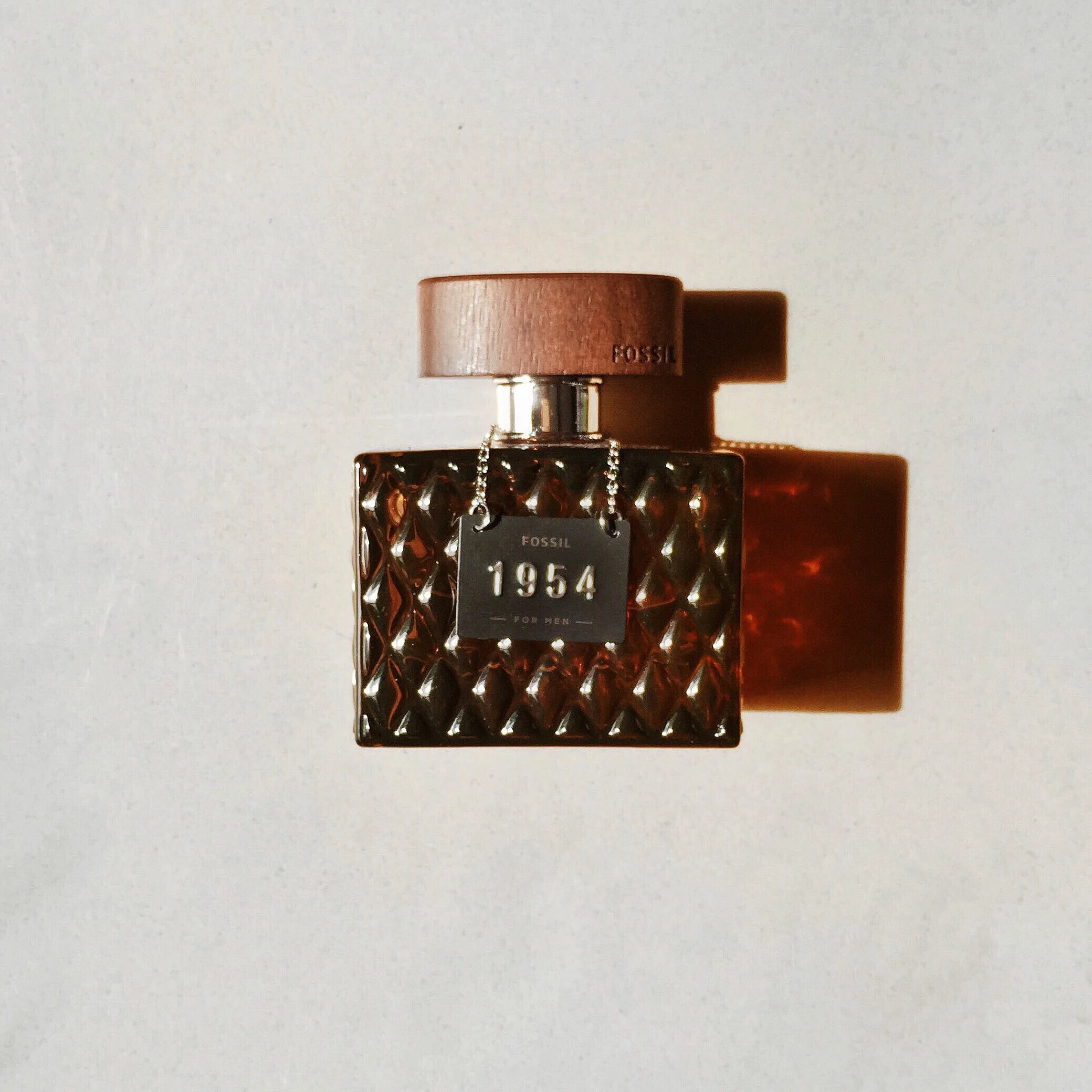 Fossil | 1954 Campaign