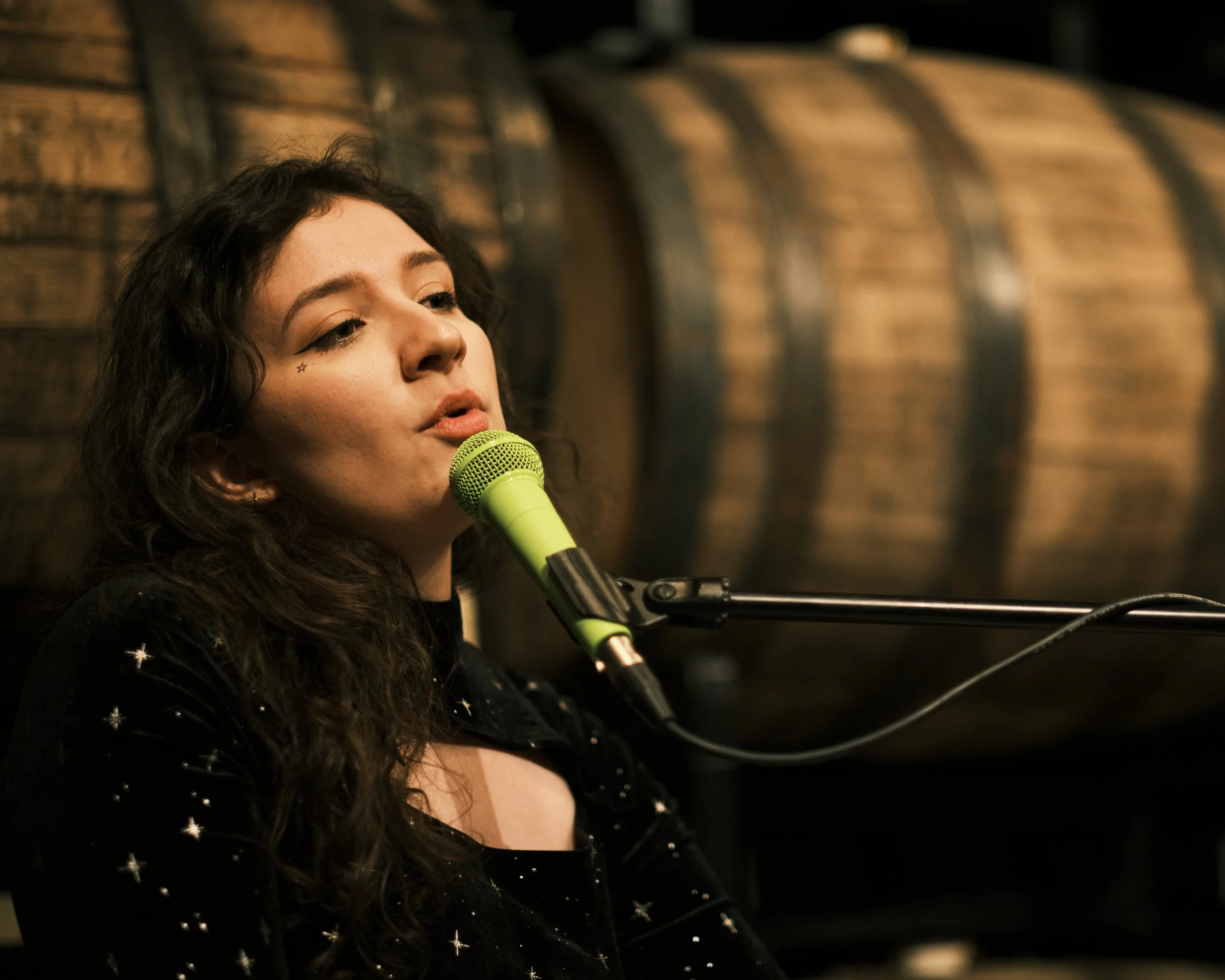Credit: Bren McKay, Songsmiths Canada - Nashville Manitoba | The Writer's Round Season Two