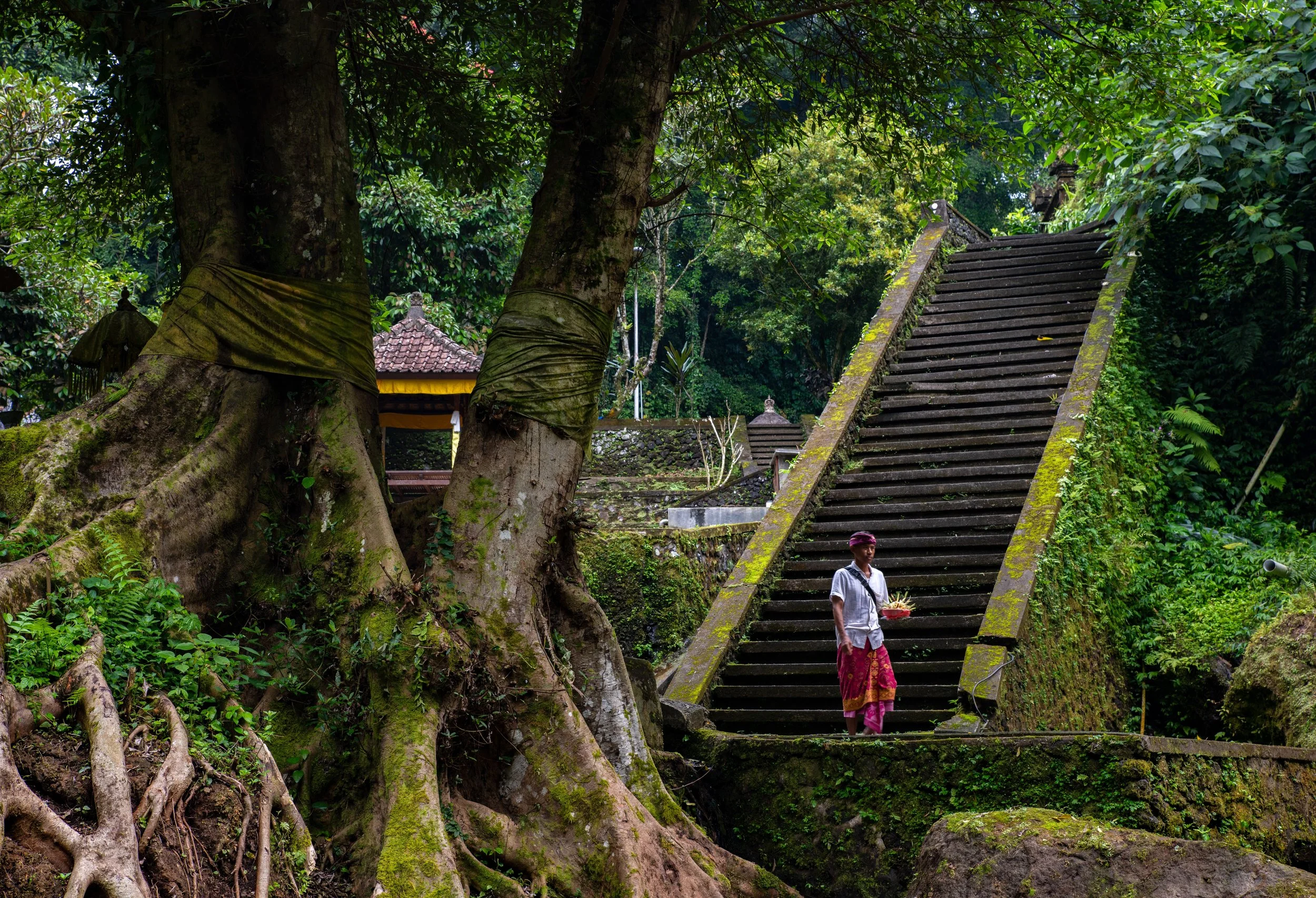 Ubud, INDONESIA
