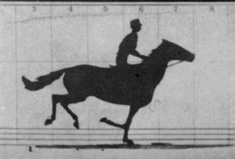 Muybridge's The Horse in Motion (1878) | PC: Library of Congress Prints and Photographs Division