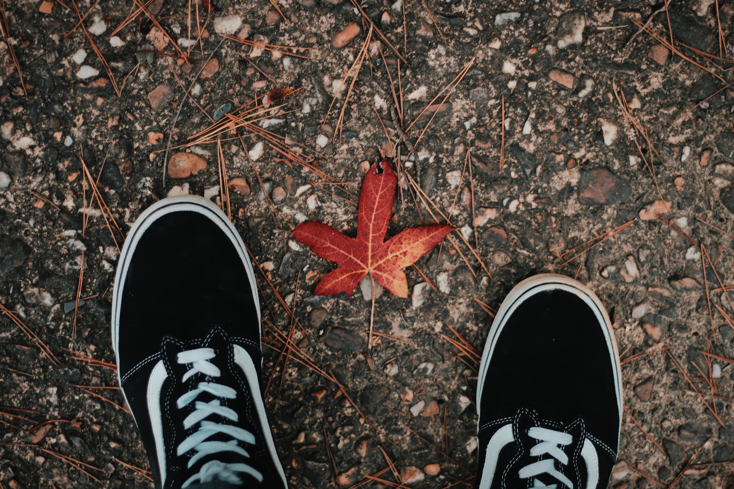 PC: Levi Ventura
