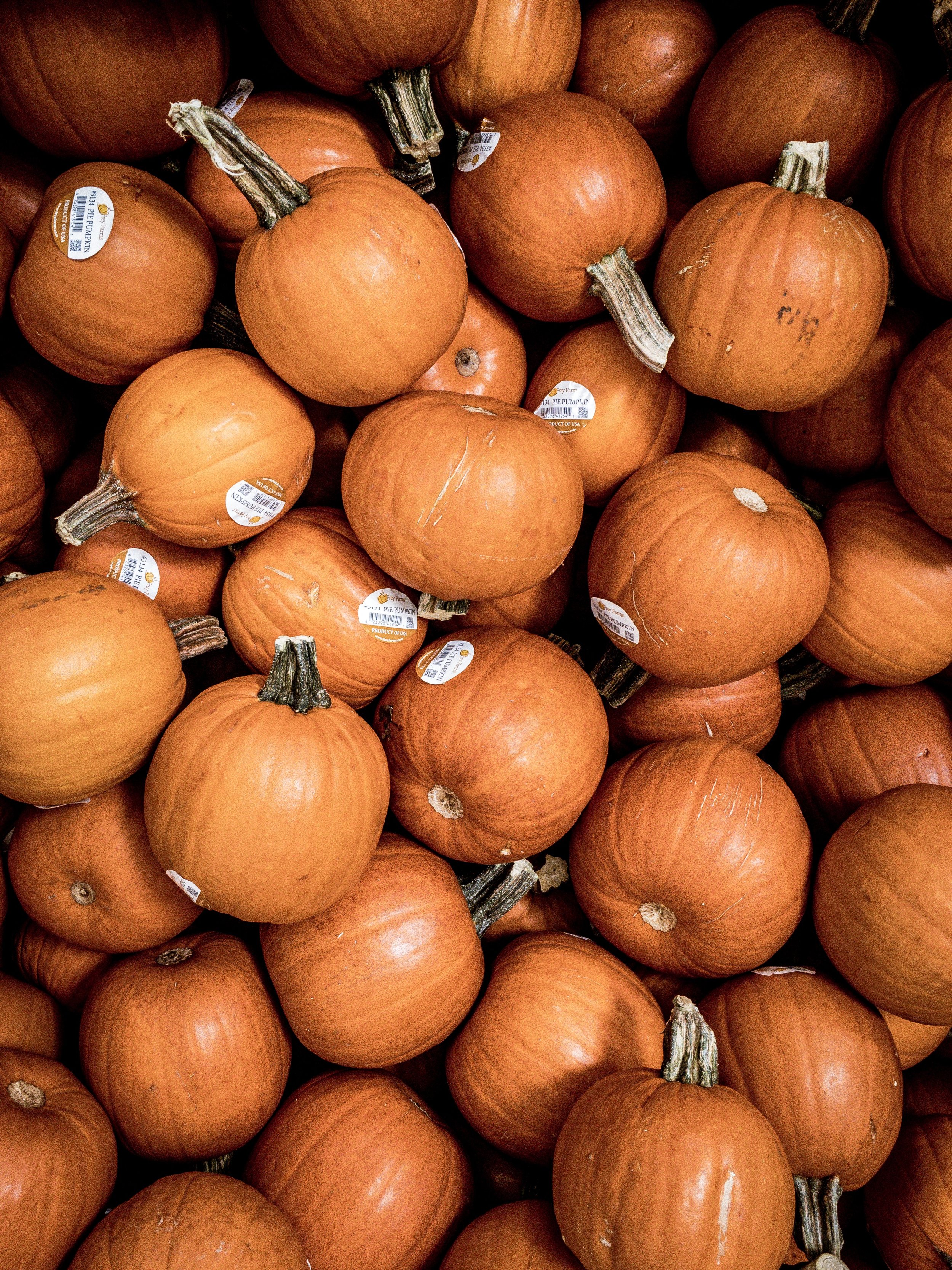 5 Ways to Embrace the Fall Vibes