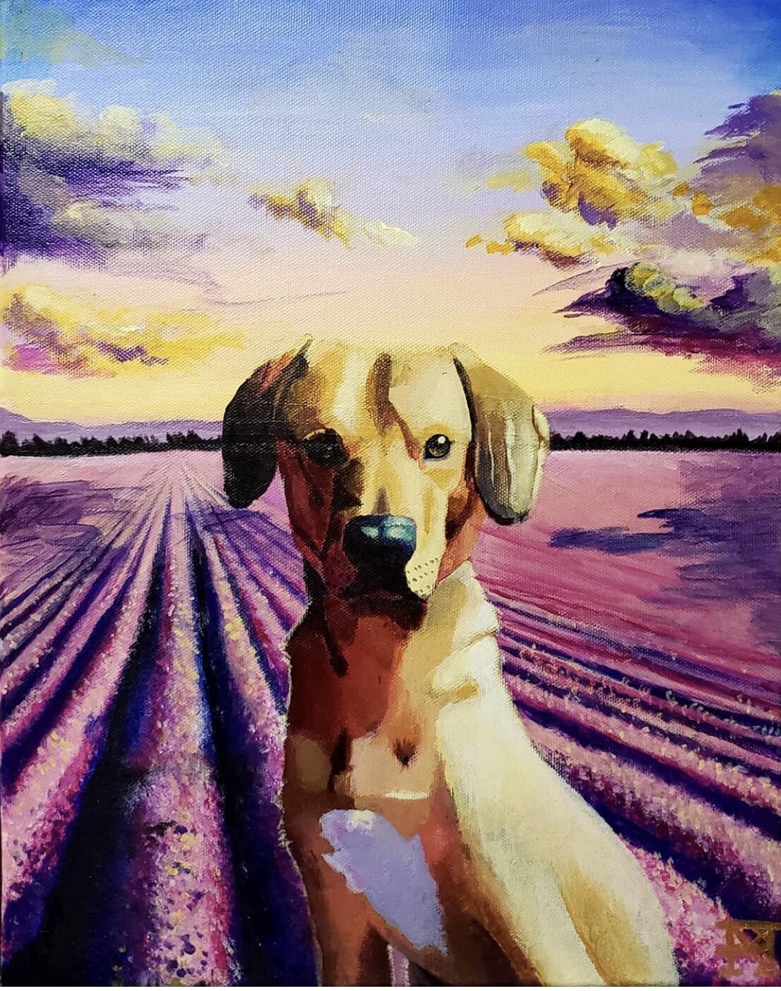 Why D o You Make Art?: The Surrealist Art of Micah Reidlich