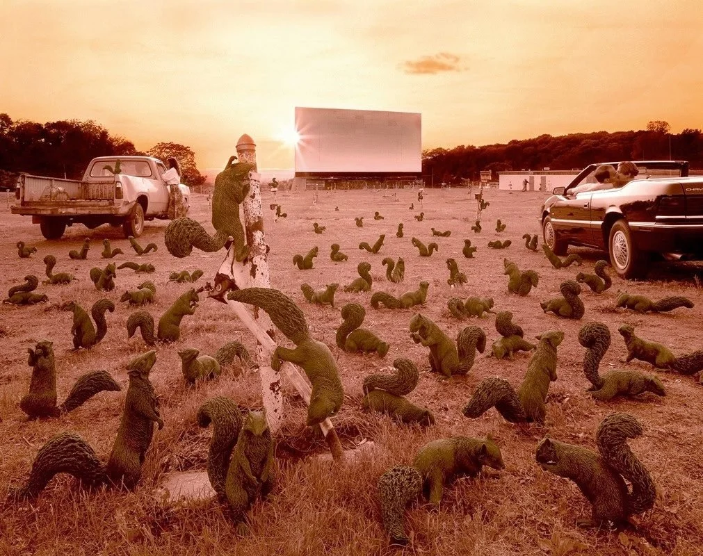 Squirrel protests affect Union College’s bottom line