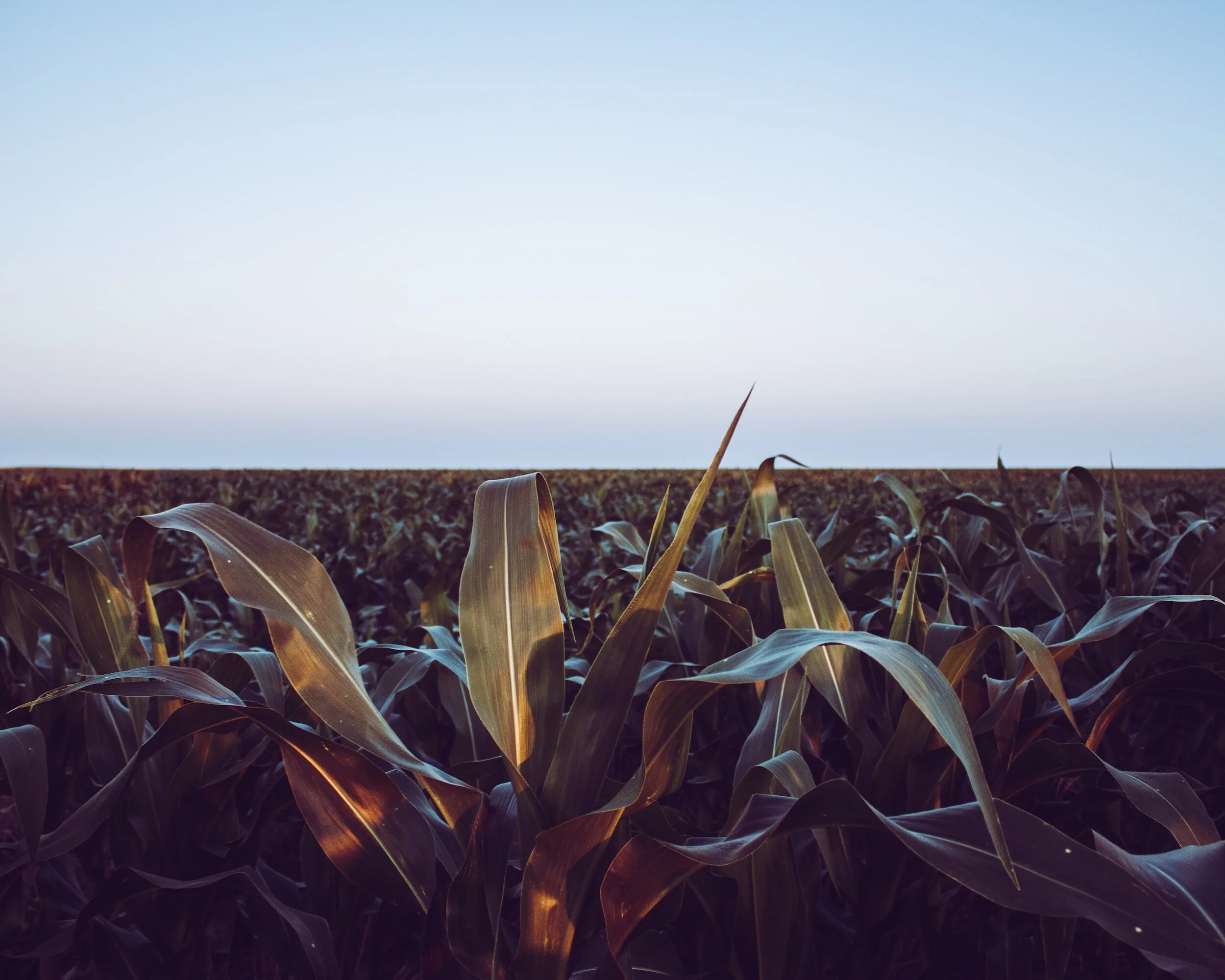 The Invisible Drought 