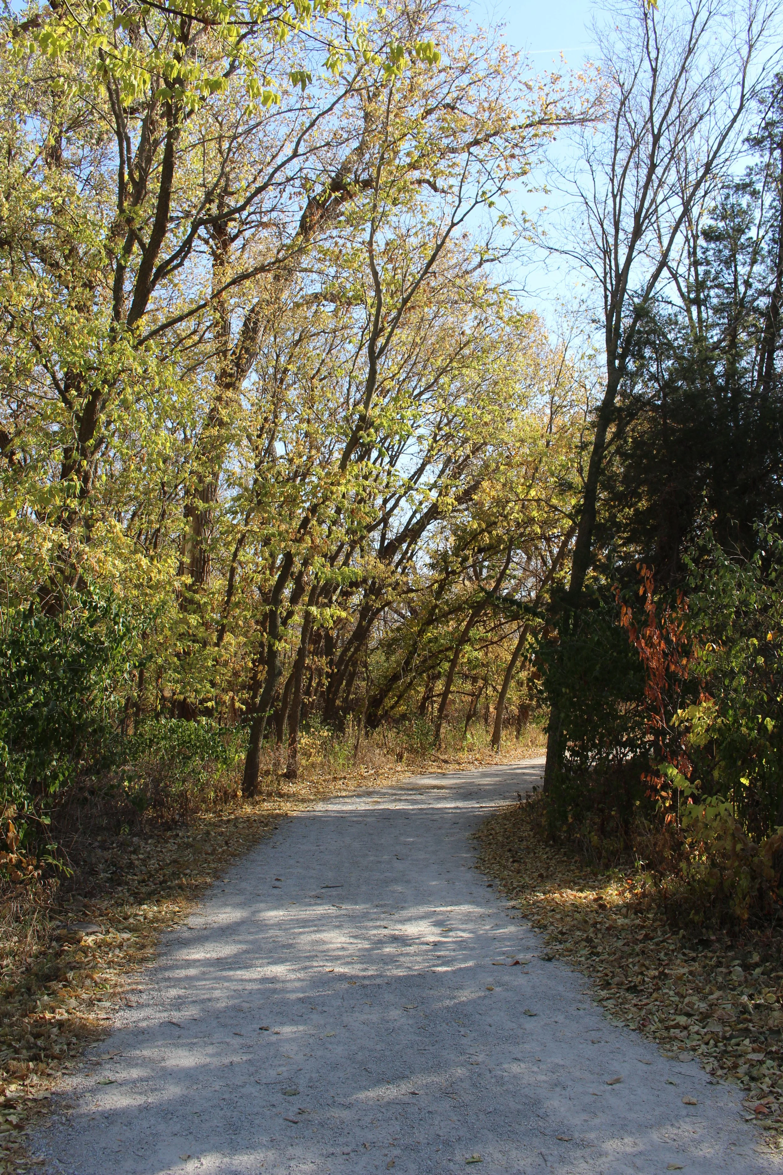 Fun Fall Hikes Near Lincoln, Nebraska!