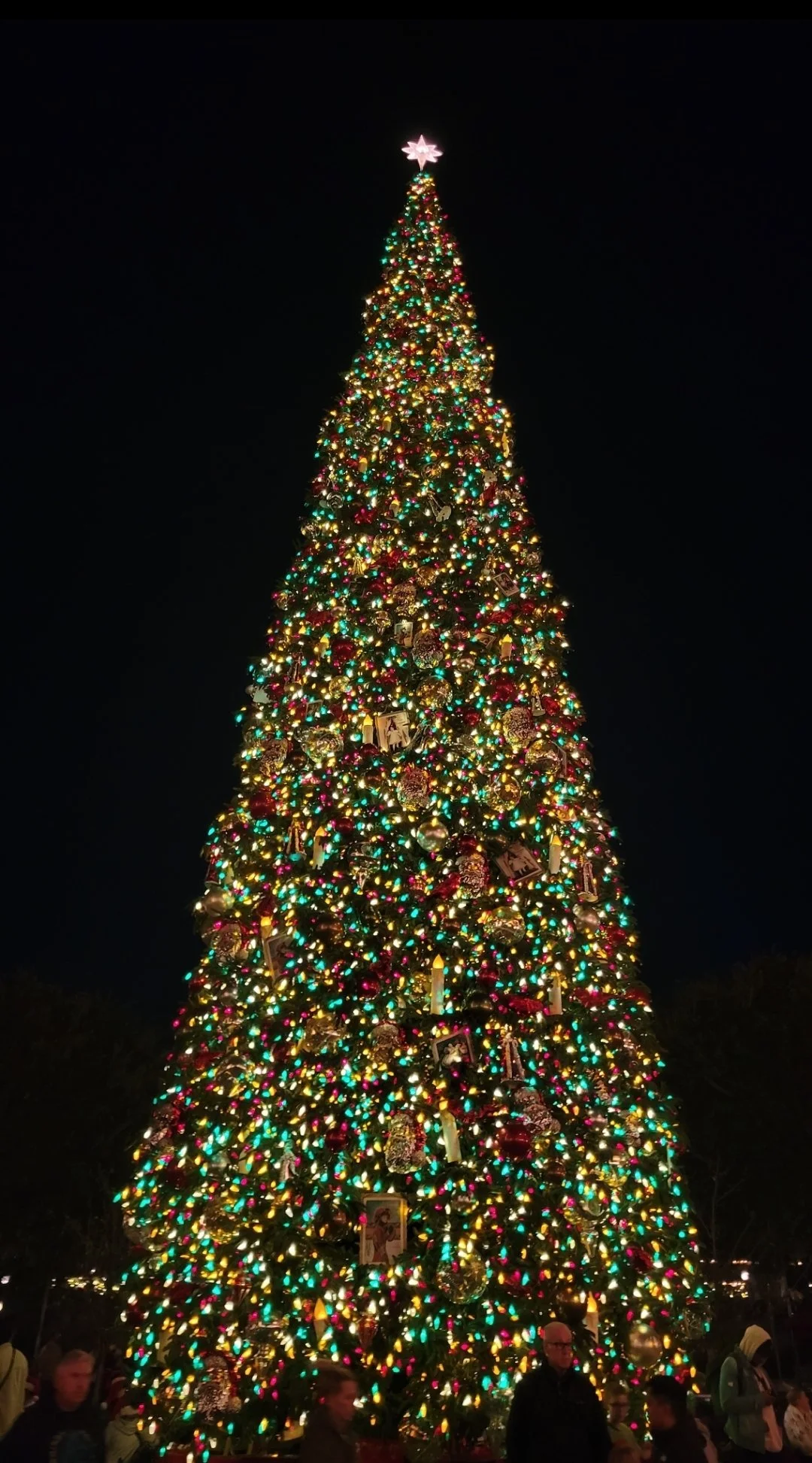 Budget-friendly gift ideas for students