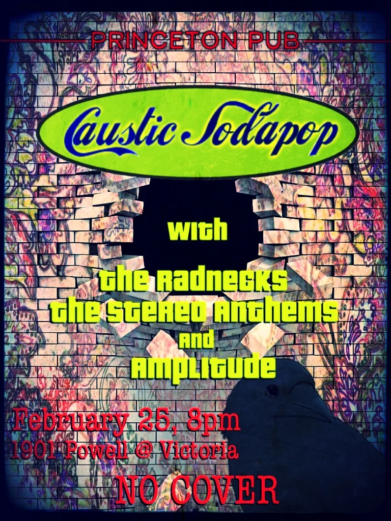 The Radnecks @ Princeton Pub