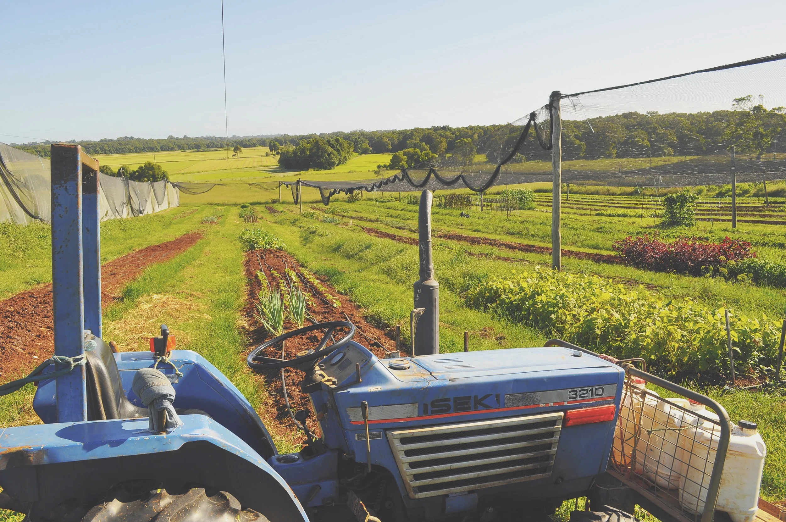One of my first jobs on an organic farm, in Byron bay, NSW.