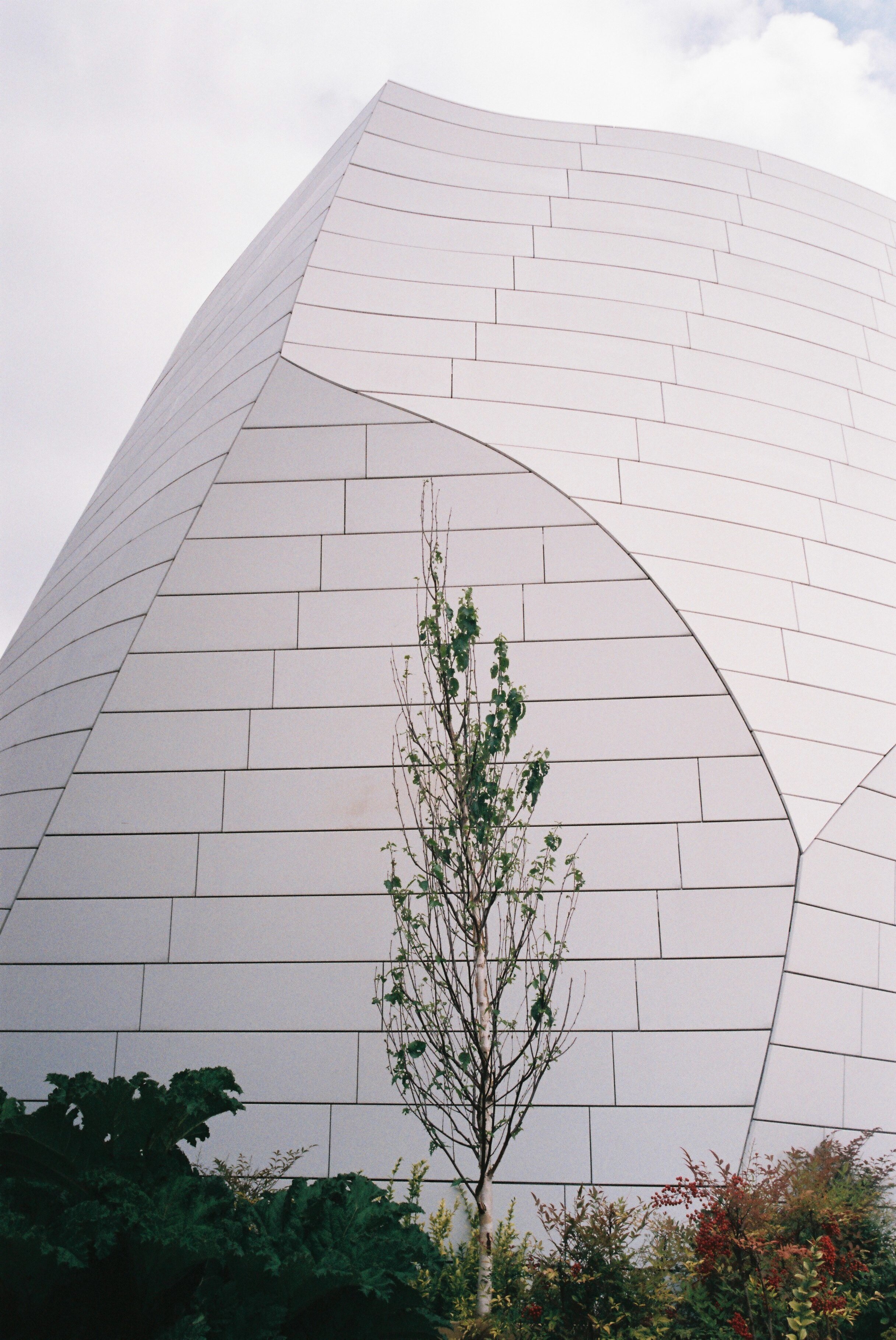 Fondation Louis Vuitton Paris