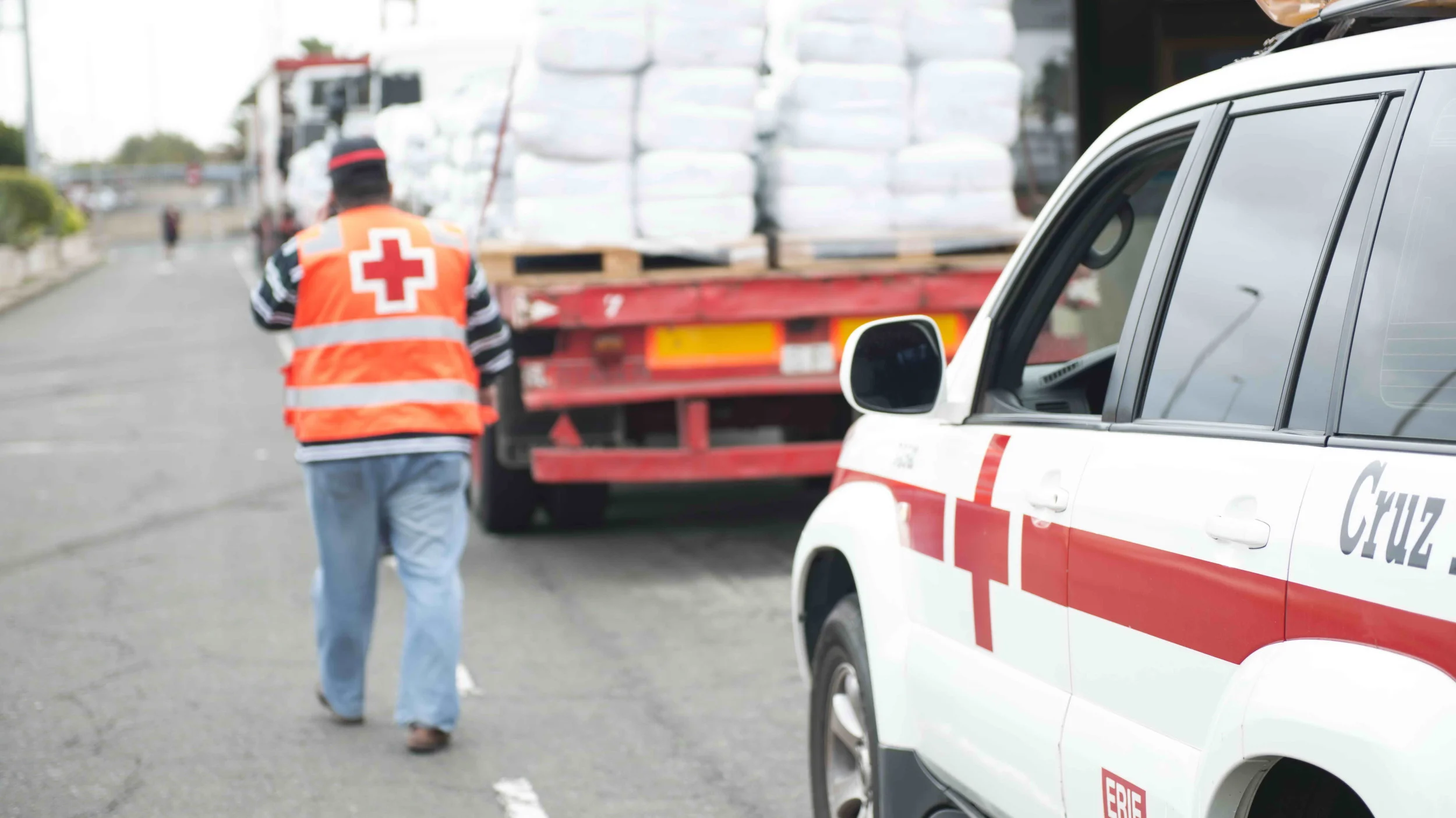 Memoria Cruz Roja 2015 - 1