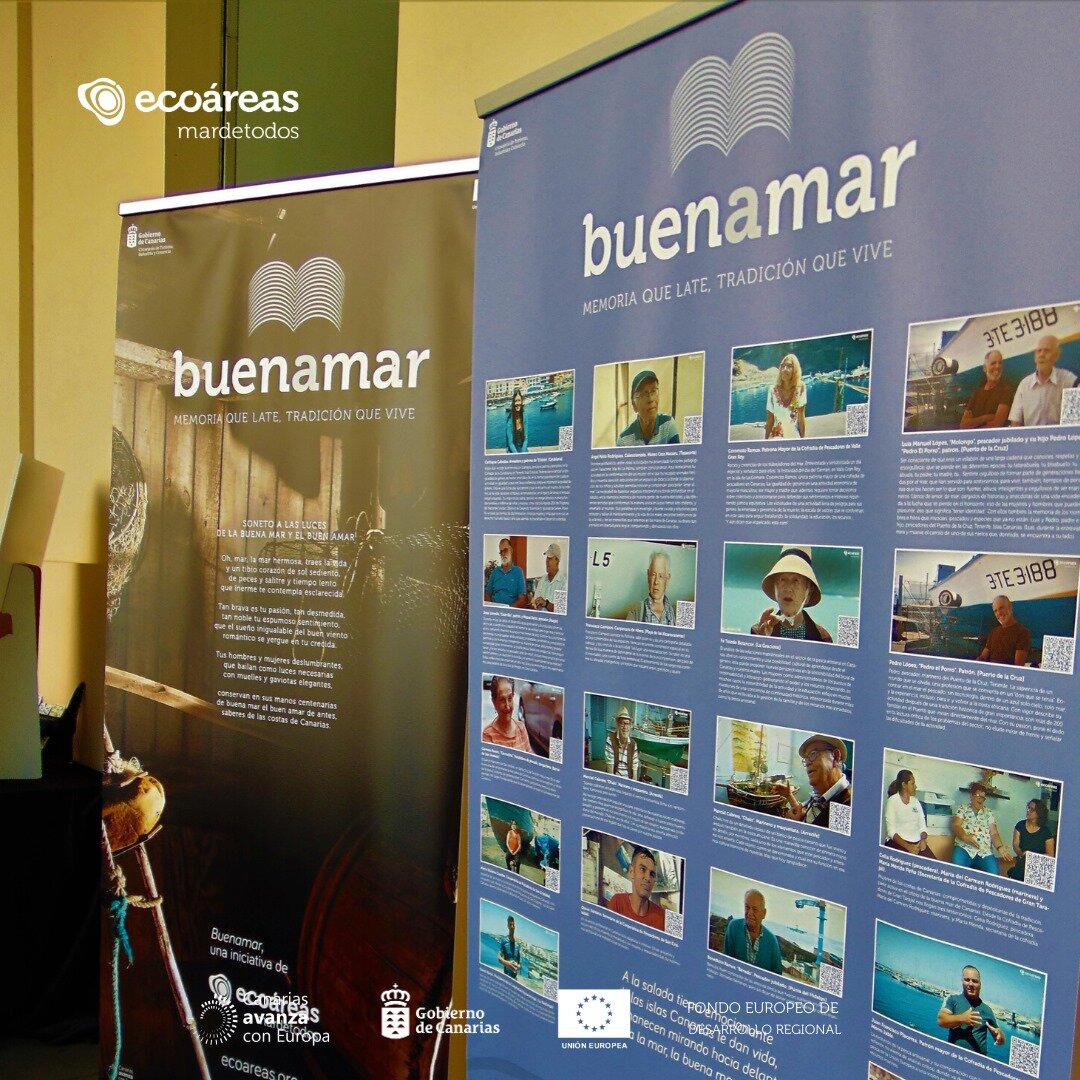 Estrenamos Buenamar en Televisión Canaria