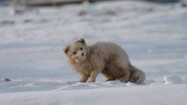 Objeto de estudio_04.jpeg