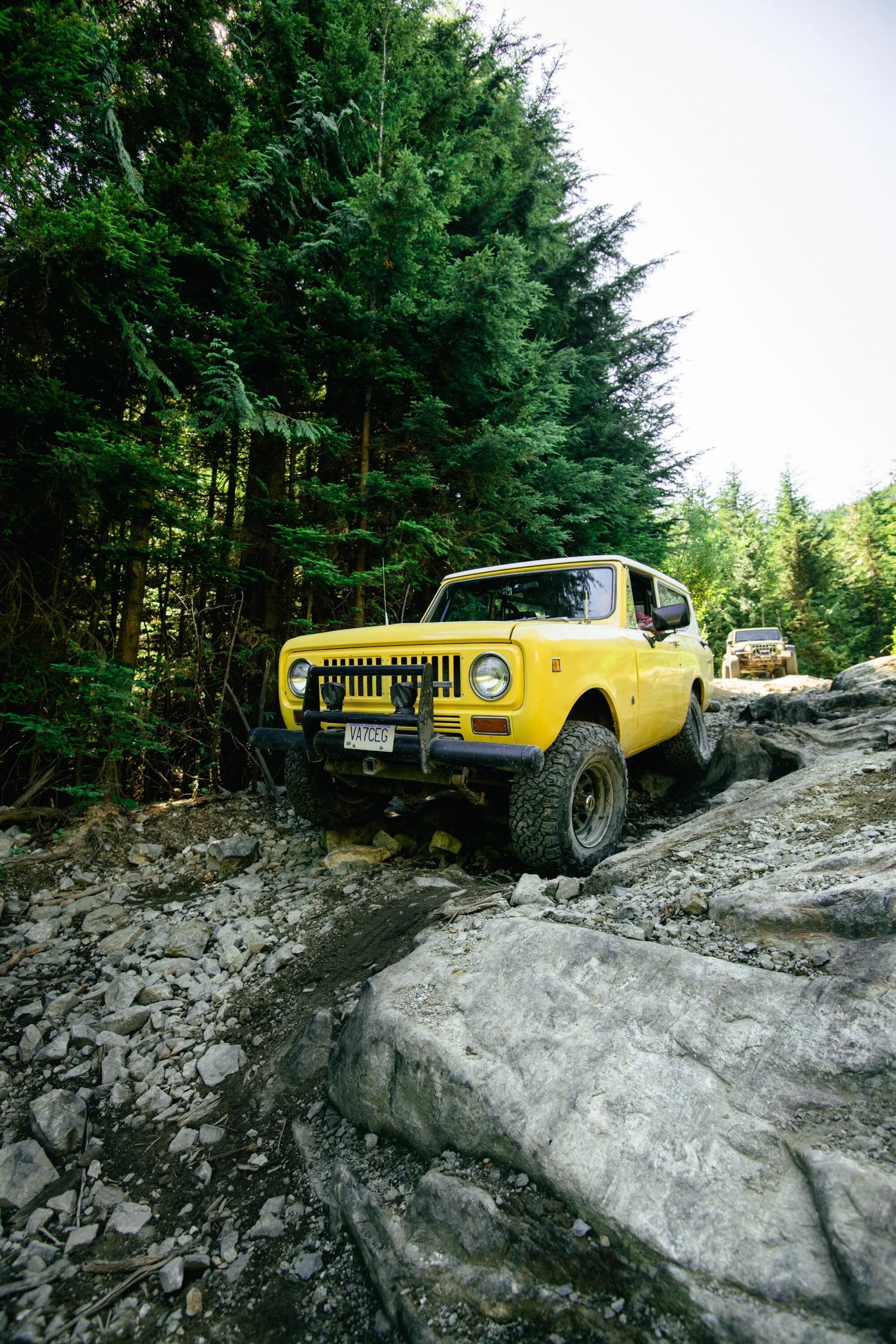 _DSC8016.jpg