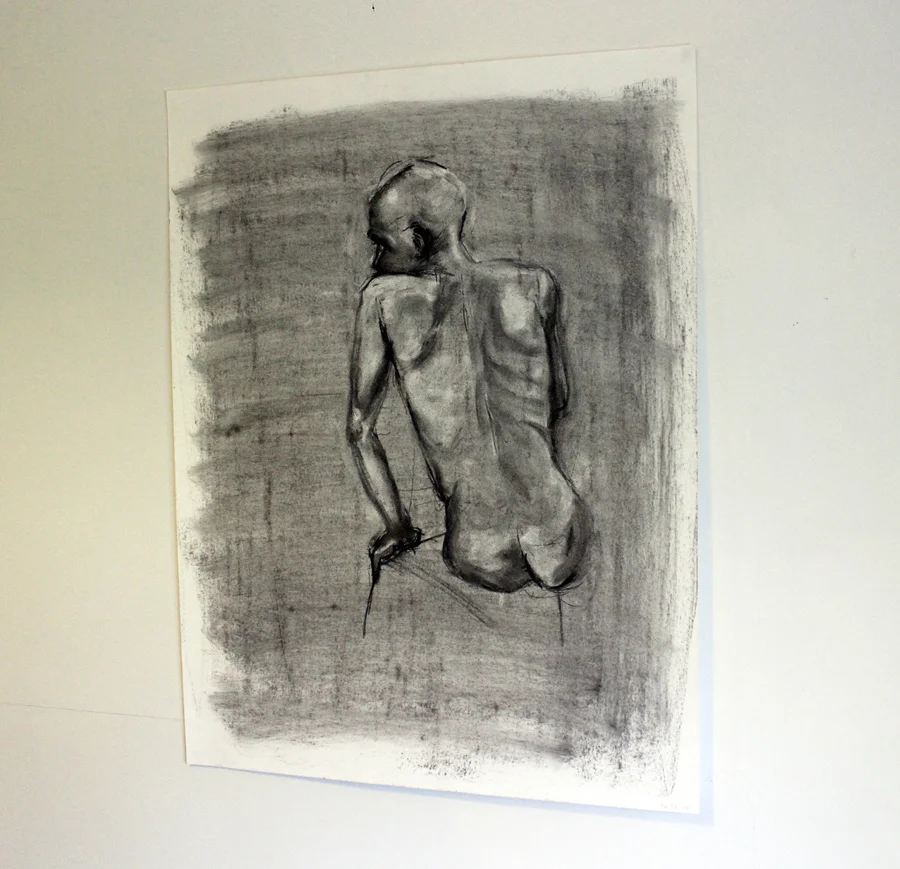 N003, 650mm x 500mm; Charcoal on paper, $140