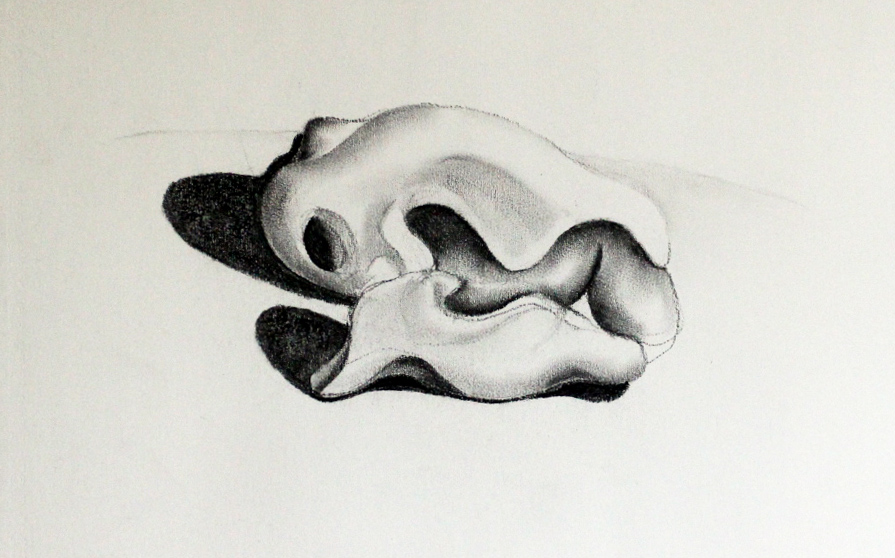 SL004, 340mm x 500mm; Charcoal on paper, $100