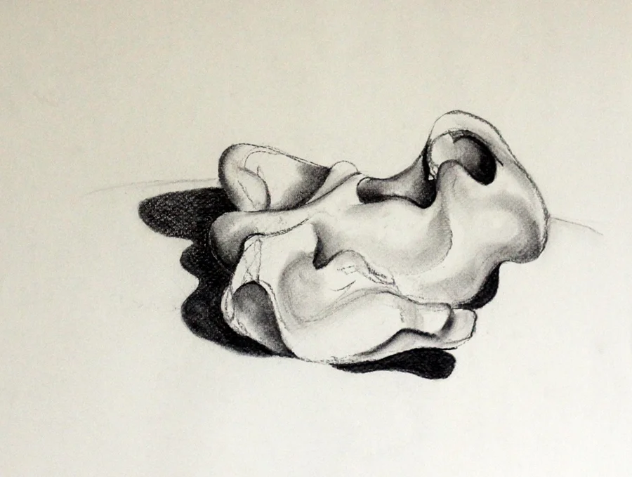 SL005, 360mm x 500mm; Charcoal on paper, $100