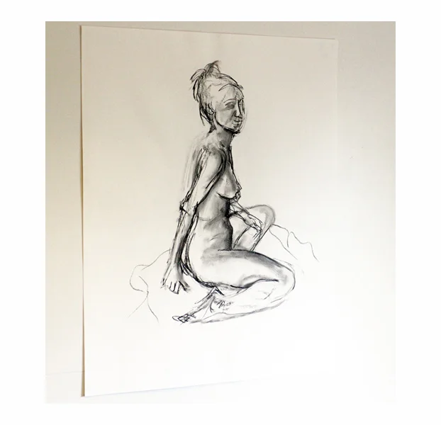 N001, 650mm x 500mm; Charcoal on paper, $140