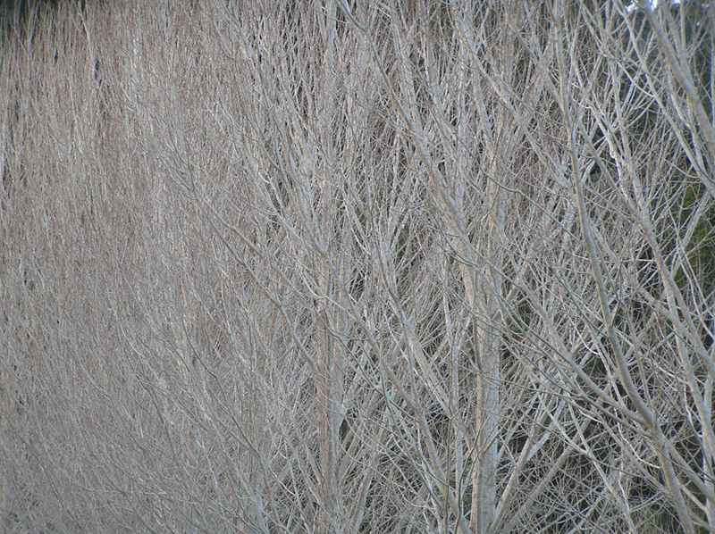 PH004