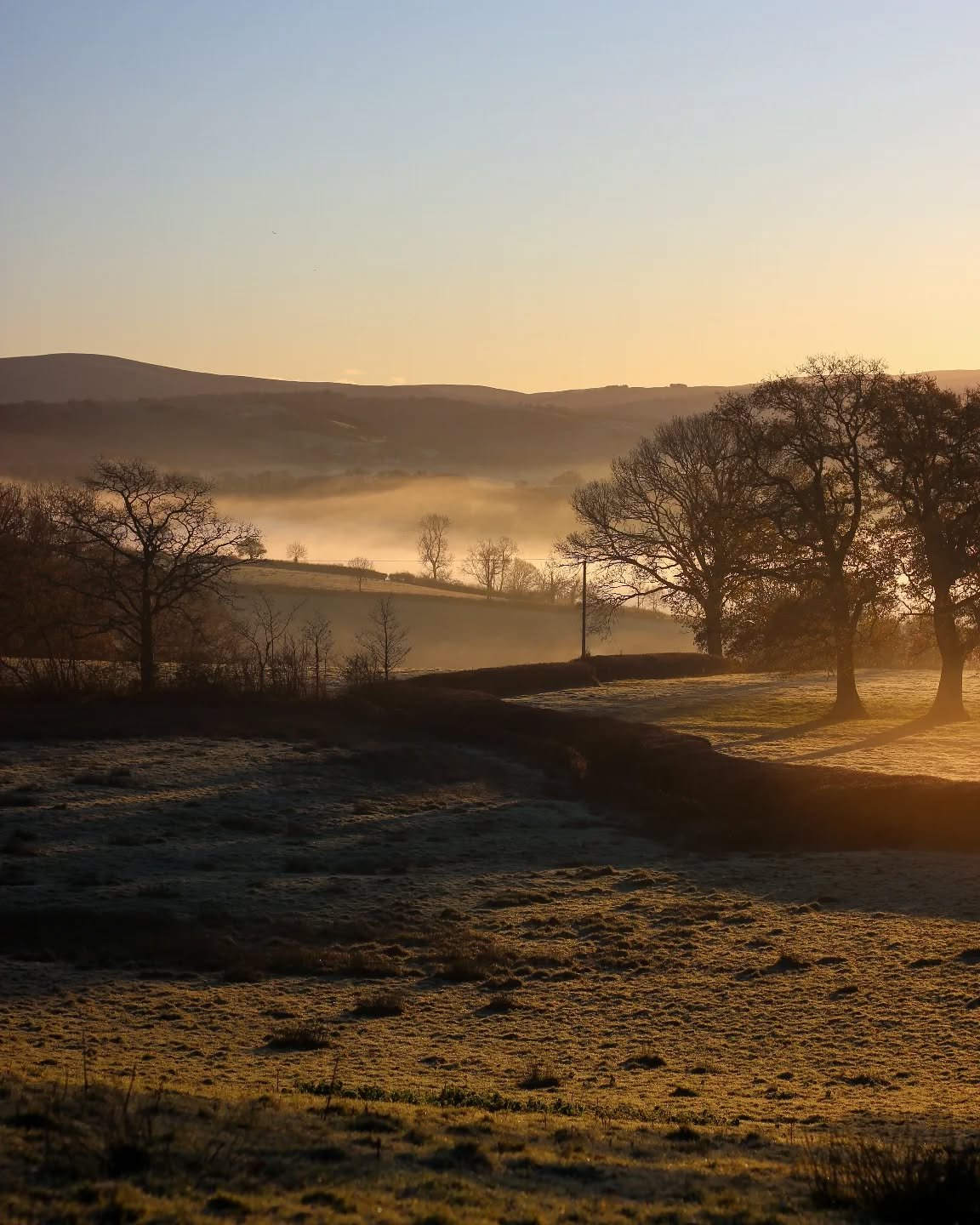 One of those perfect autumn, nearly winter, mornings. Sun just peeping over the distant hills and mountains, mist in the valley slowly rising, a few local jackdaws squawking. It's going to be a beautiful day 🍂🌞

-
-
-
-
-
#ruralkind #ruralwales #he