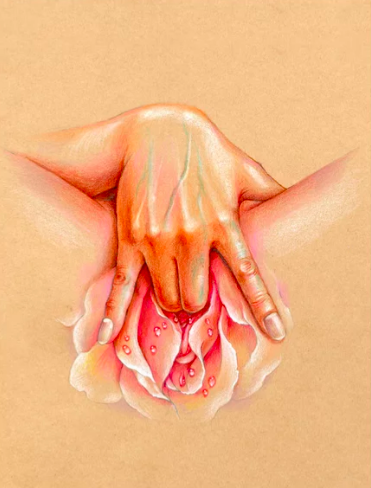 INTO THE ROSE.png