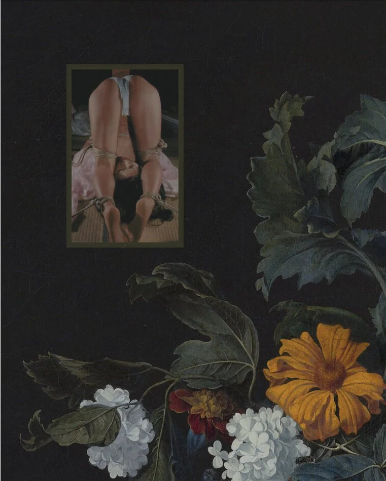 Our BDSM book