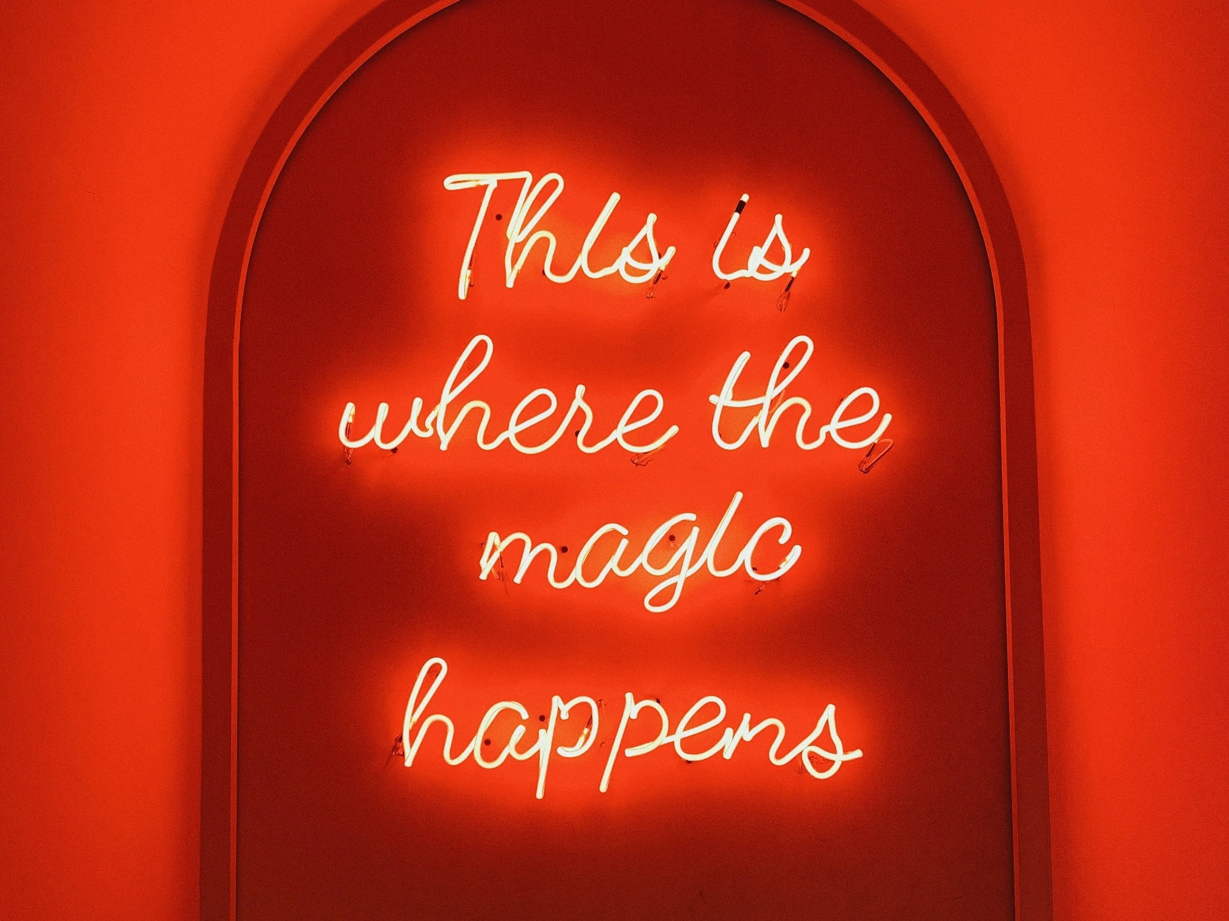 The raccoon and the architect