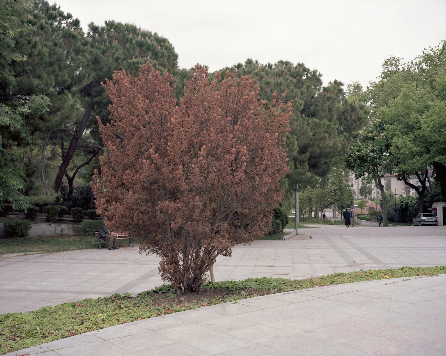 I_03_02.jpg