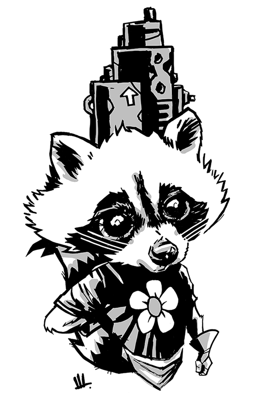racoon.png