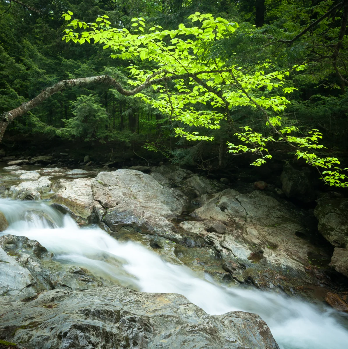 Brigham Falls