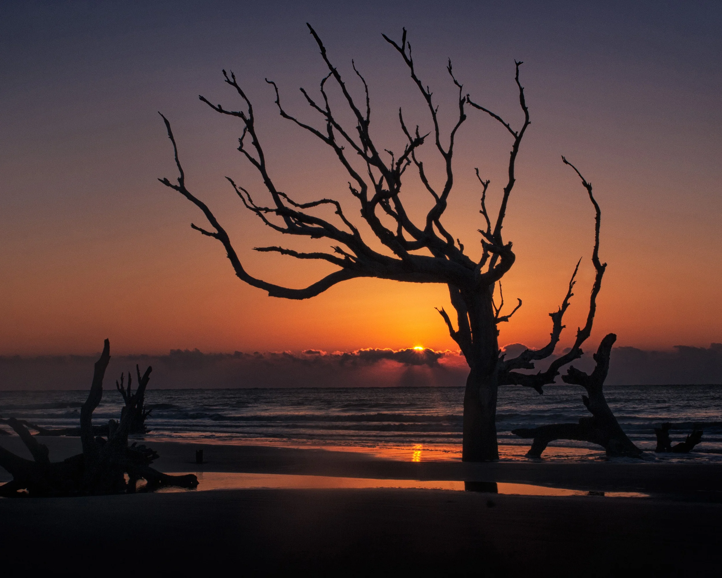 Boneyard Beach, Charleston SC 2014