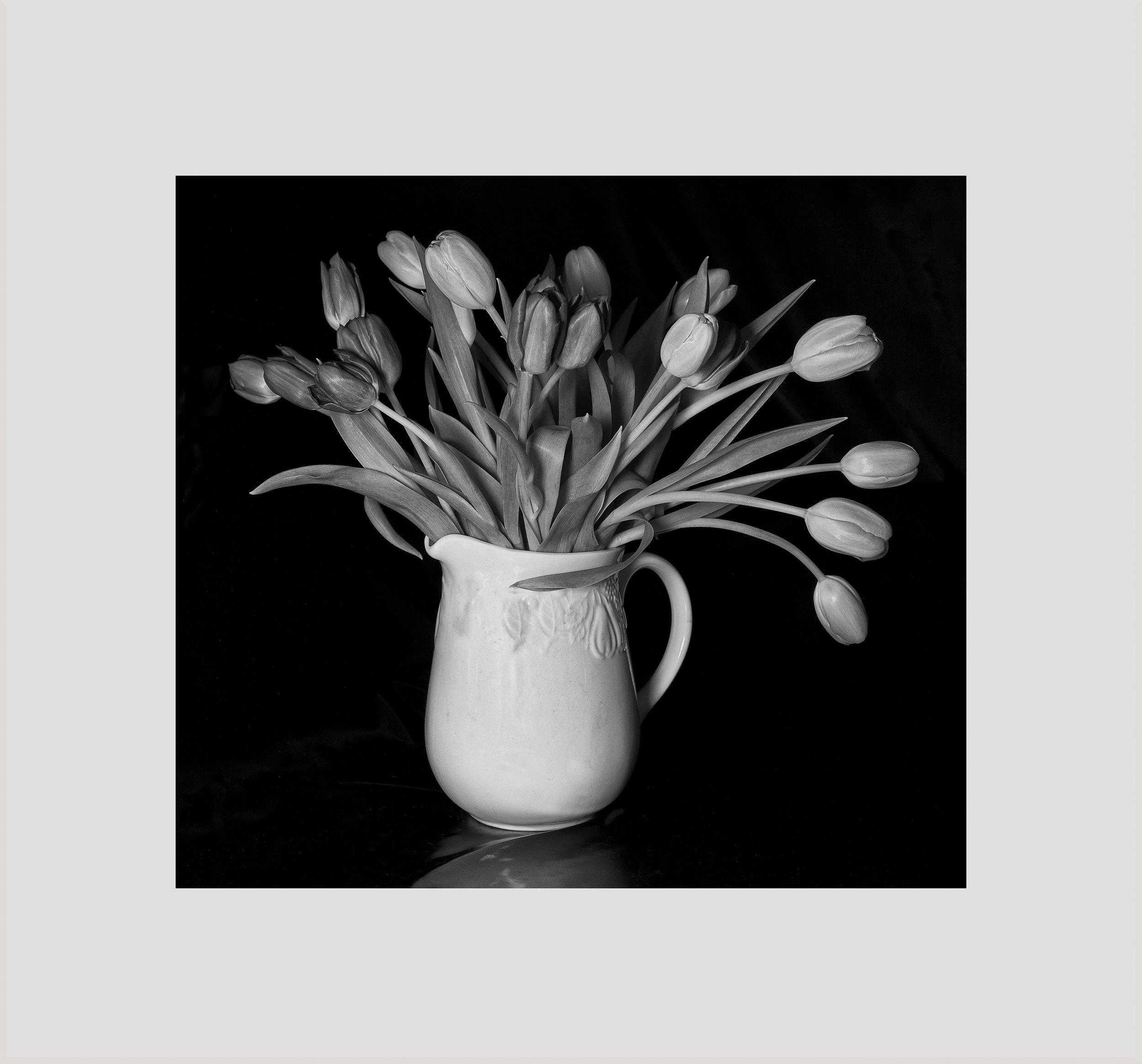 Tulips in Black and White - Ela Marie Blanton.jpg