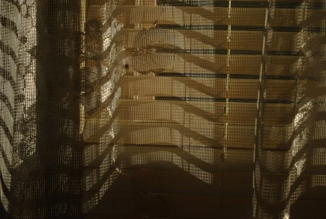 Brown_Margaret Waage_DSC_0757.jpeg