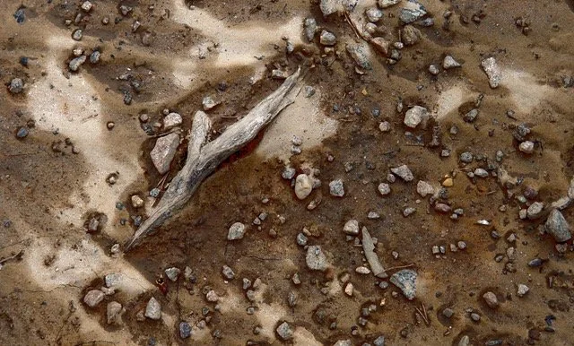 Brown_ Margaret Waage_P1079778.jpeg