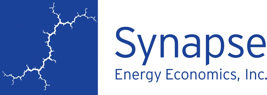 Synapse Energy Economics Logo Block