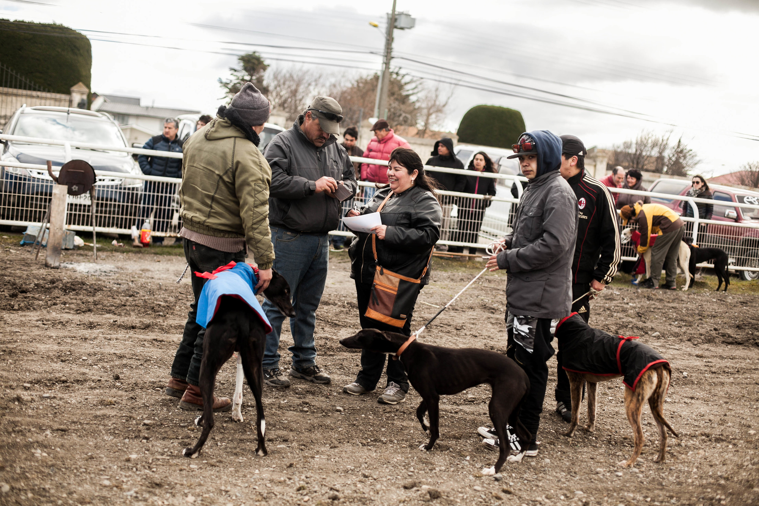 GALGOS MIGRAR POBLETE 07.jpg