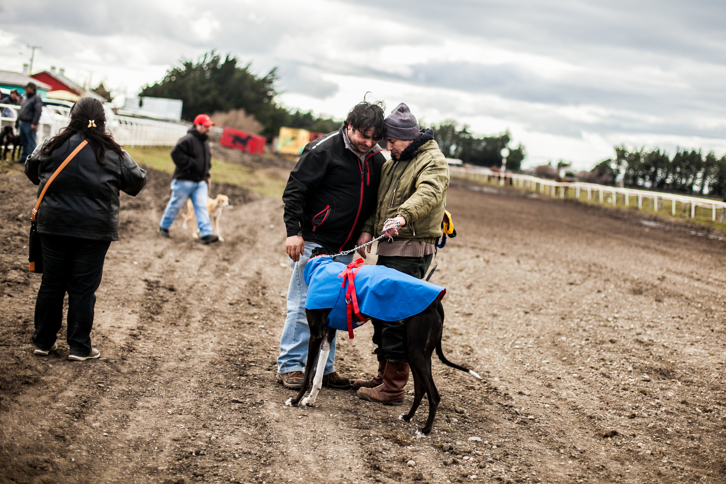 GALGOS MIGRAR POBLETE 11.jpg