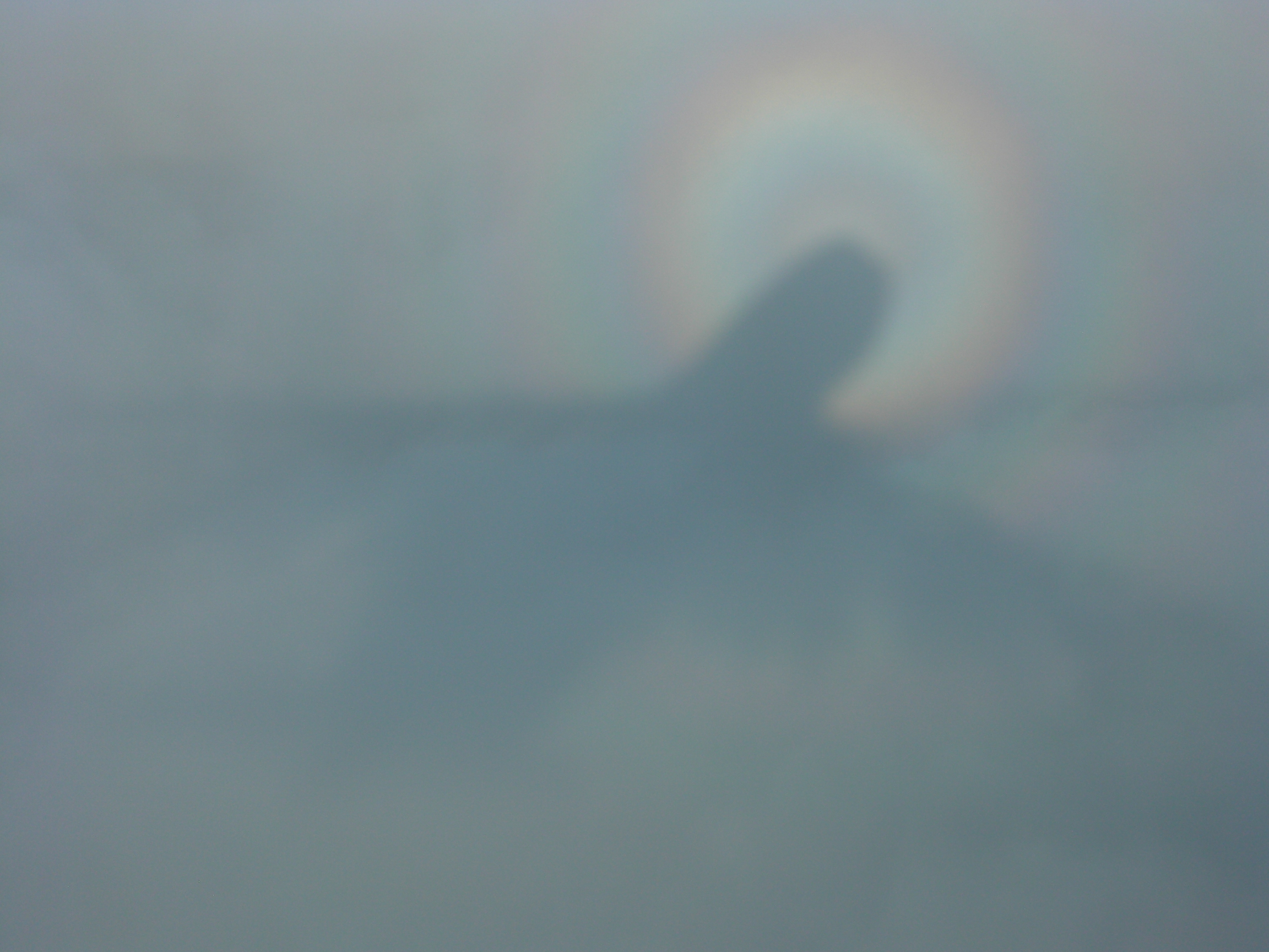 Brocken spectre of a 747 (by R Bennitt)
