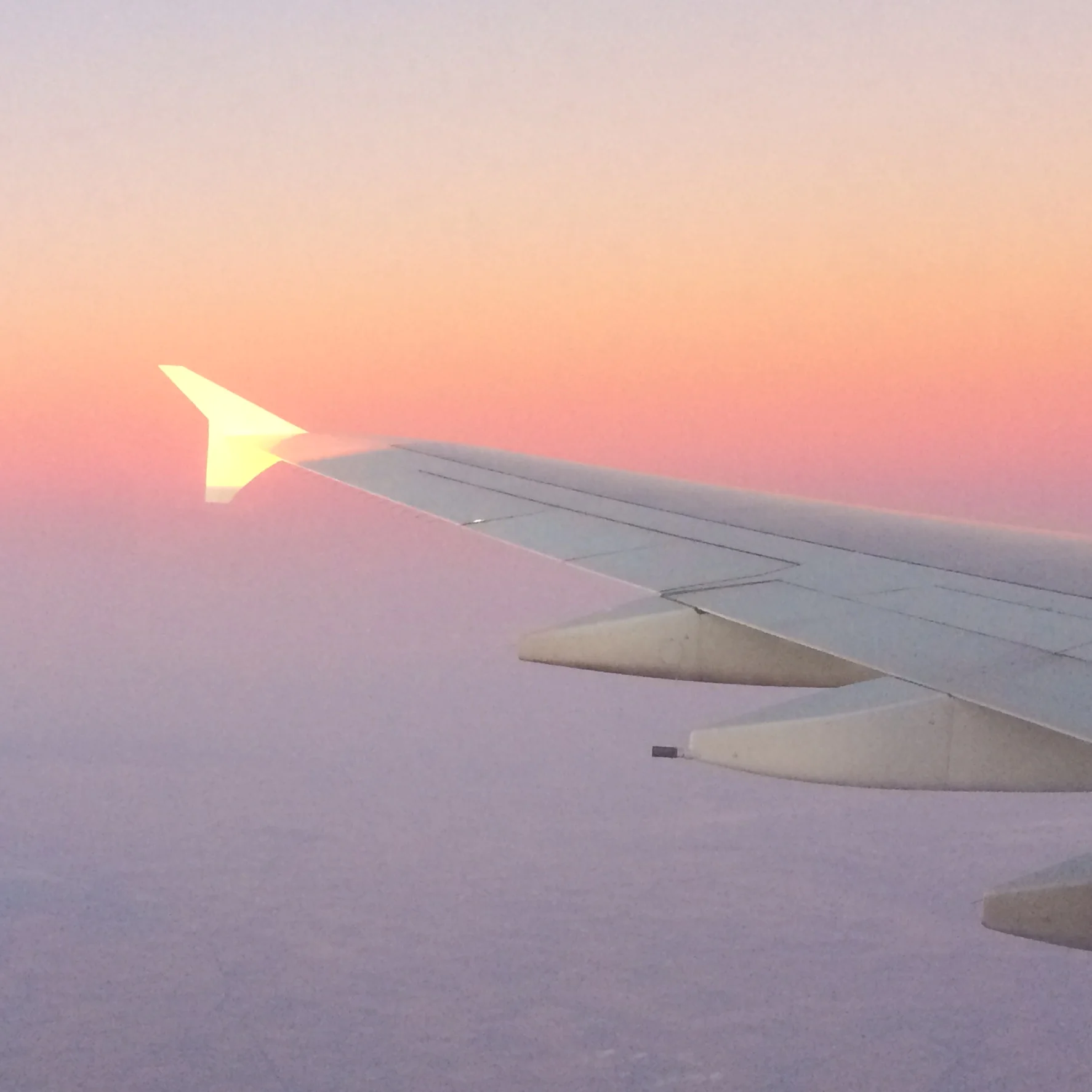 sunset over the Nullarbor desert (by N Morgan)