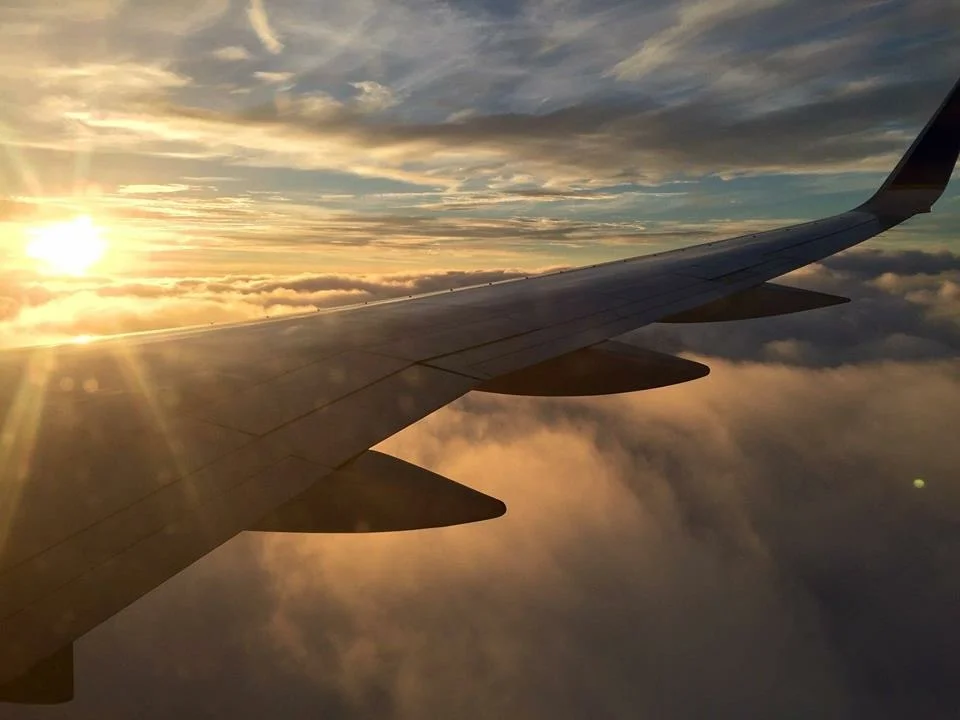 a beautiful wing (by N Herring)